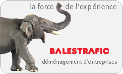 déménagement entreprise