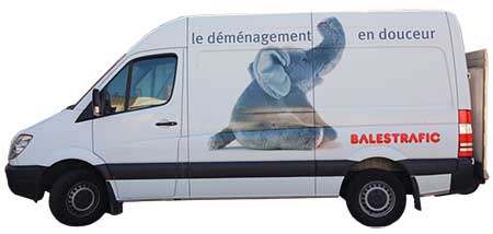 transport geneve
